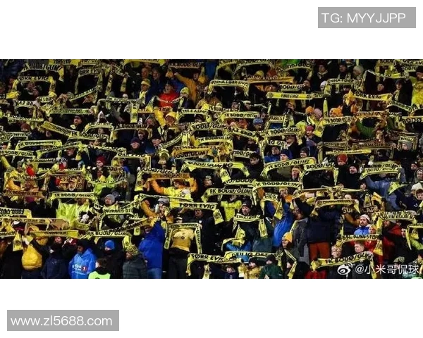 多特蒙德球迷骚乱引发欧冠禁赛三场及50万欧元罚款 多特蒙德球迷骚乱引发欧冠禁赛三场及50万欧元罚款