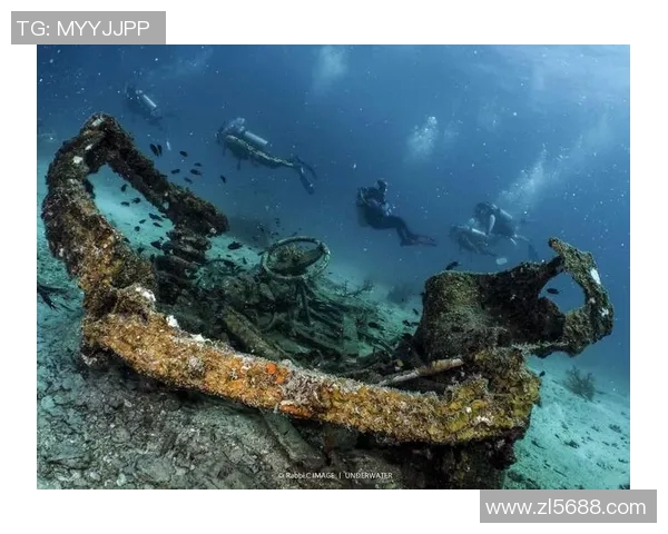 加莱诺的艺术魅力与文化影响力探讨:从历史到现代的深度解读 加莱诺的艺术魅力与文化影响力探讨:从历史到现代的深度解读