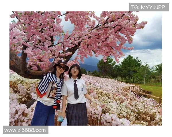 探索布莱克尼的魅力与历史:一段关于文化与自然的奇妙旅程 探索布莱克尼的魅力与历史:一段关于文化与自然的奇妙旅程