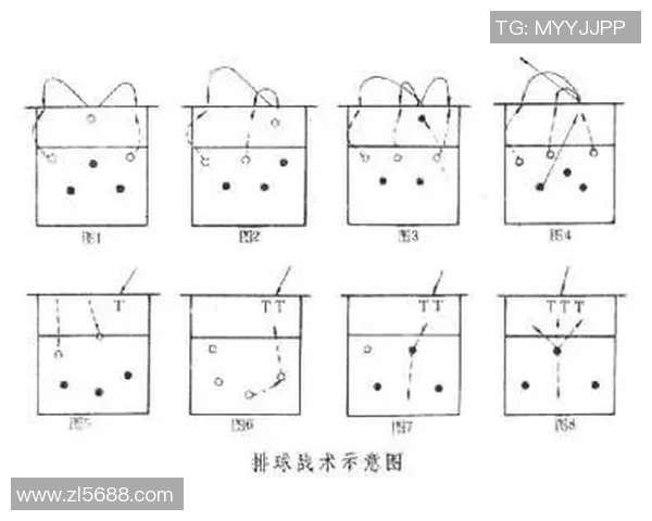 西安排球队阵地战解析：战术布局与球员配合的深度剖析