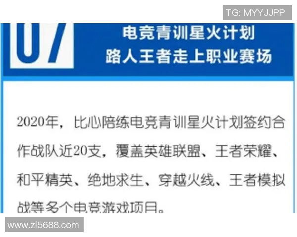 王者荣耀战术新趋势TOP10FPX战队引领潮流解析