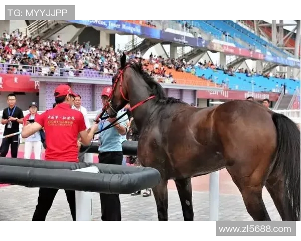 上海乒乓球队速度之争引发热议球迷与专家各执己见
