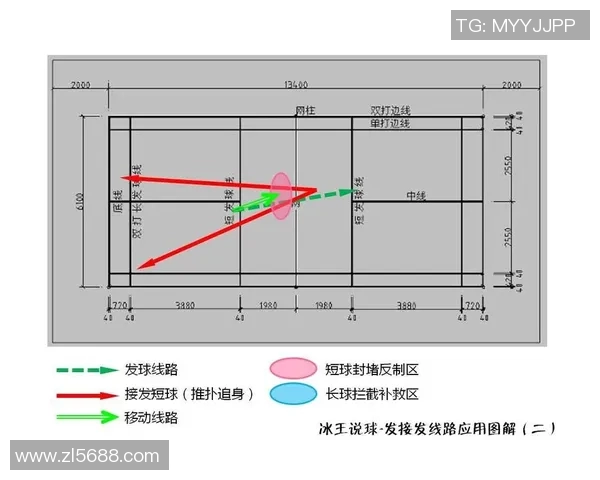 南京篮球队节奏对比深度解析与战术影响探讨